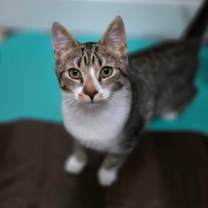 Thumbnail photo of Rachel #1