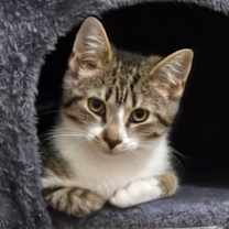 Thumbnail photo of Rachel #2