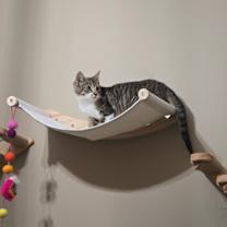 Thumbnail photo of Rachel #3