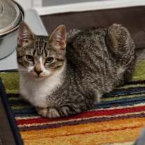 Thumbnail photo of Rachel #4