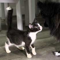 Thumbnail photo of Ash  #2