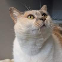 Thumbnail photo of Sprite #3