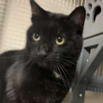 Thumbnail photo of Stevie Kicks #2