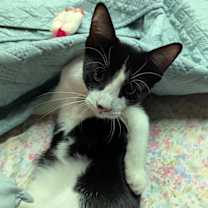 Thumbnail photo of Jensen #2