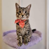 Thumbnail photo of Albie #4