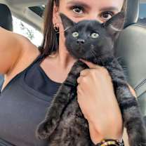 Thumbnail photo of Shadow #1