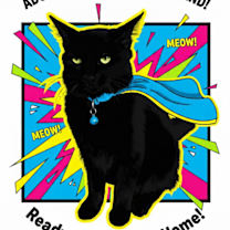 Thumbnail photo of Shadow #4