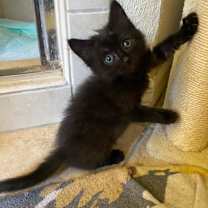 Thumbnail photo of Ashley #2