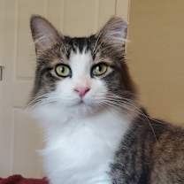 Thumbnail photo of Sam I Am #1