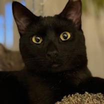 Thumbnail photo of Noa #1