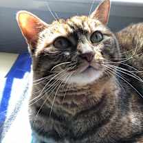 Thumbnail photo of Autumn #2