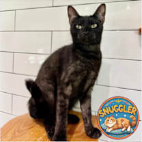 Thumbnail photo of Louise #1