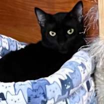 Thumbnail photo of Thelma #1