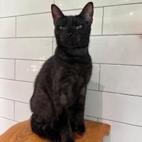 Thumbnail photo of Louise #4