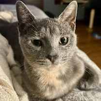 Thumbnail photo of Peaches #1