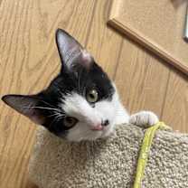 Thumbnail photo of Ted #1