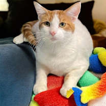 Thumbnail photo of Nate #1