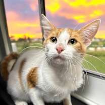 Thumbnail photo of Nate #2