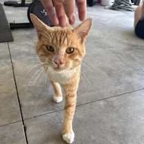 Thumbnail photo of Zip #2