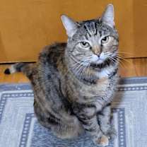 Thumbnail photo of Lux #3