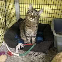 Thumbnail photo of Tokyo #2