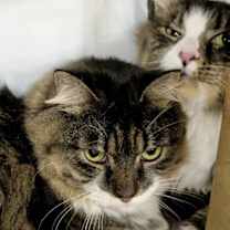 Thumbnail photo of Zeke #2