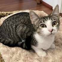 Thumbnail photo of Charlotte #1