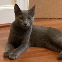 Thumbnail photo of Gary #1