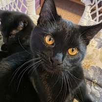 Thumbnail photo of Dorothy #1