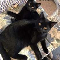 Thumbnail photo of Dorothy #3