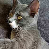 Thumbnail photo of Nasrin #4