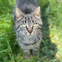 Thumbnail photo of Sweetie #2