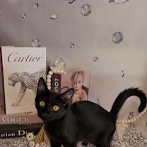 Thumbnail photo of BEEZLY #3