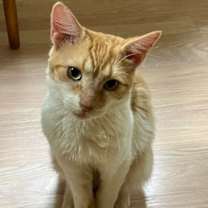 Thumbnail photo of Lucas #1