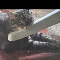 Thumbnail photo of Luna #4