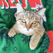 Thumbnail photo of Luna #2