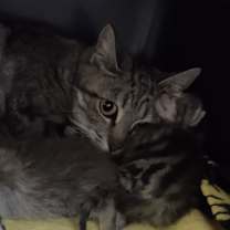 Thumbnail photo of Bertha #2