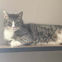 Thumbnail photo of Faith #3