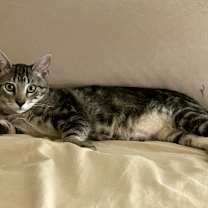 Thumbnail photo of Buddy #2