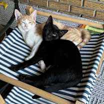 Thumbnail photo of Thanos & Nam-gyu #1