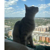 Thumbnail photo of Mrs Butterworth #4