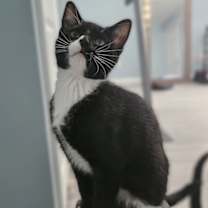 Thumbnail photo of Hera #3