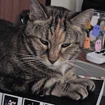 Thumbnail photo of Julep #2