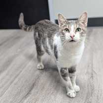 Thumbnail photo of Owen Grady #1