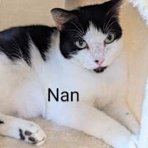 Thumbnail photo of Fran and Nan #3