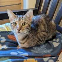 Thumbnail photo of Granite #1