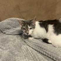 Thumbnail photo of Monroe #4