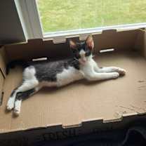 Thumbnail photo of Daisy Daniel #2