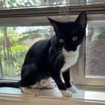 Thumbnail photo of Maggie #2