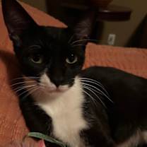 Thumbnail photo of Maggie #3